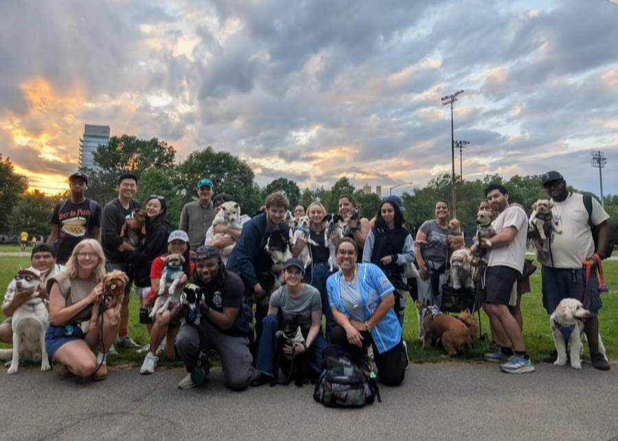 A large group of dog owners and their dogs gathered on the field at McCarren Park at sunset for a Friday Night Lights pack walk