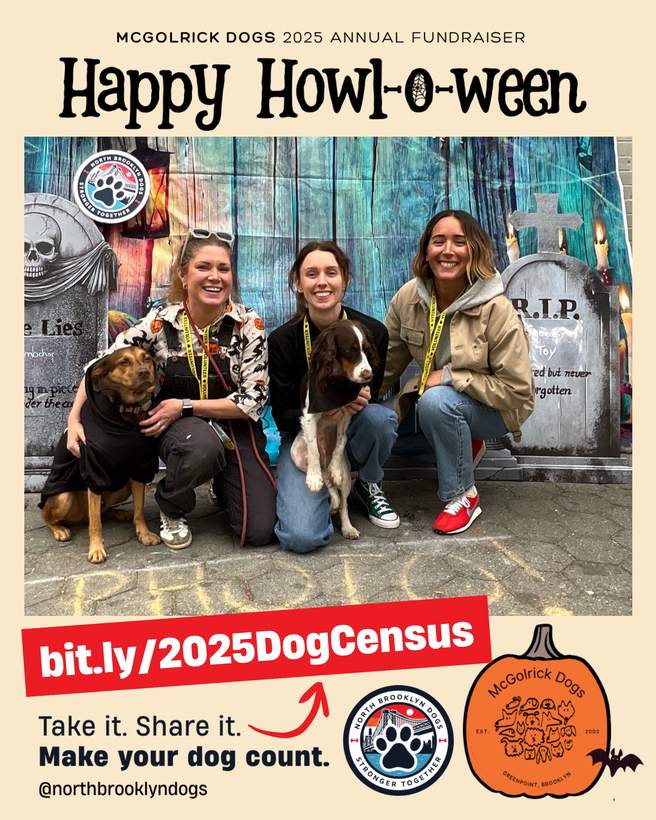 Piper Carty, Caiomhe Anglin and Jaime Brooks with their dogs at the McGolrick Dogs Happy Howl-o-ween fundraiser