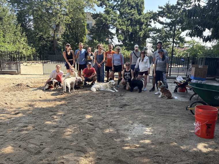 A large group of volunteers and their dogs gathered in the Cooper Park dog run after a clean-up, with buckets and wheelbarrows