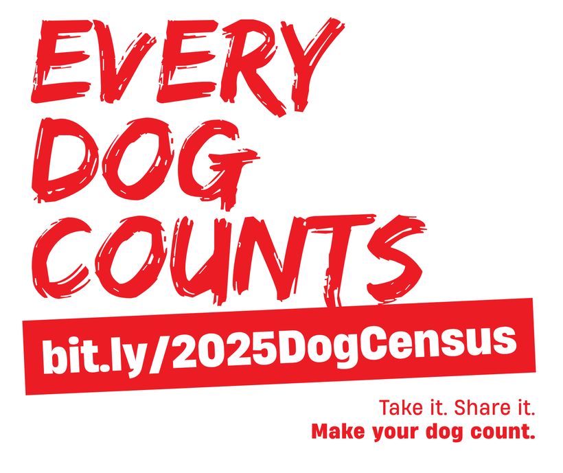 Every Dog Counts &mdash; take it, share it, make your dog count. The North Brooklyn Dog Census campaign lockup.