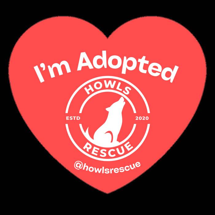 Howls Rescue I'm Adopted graphic