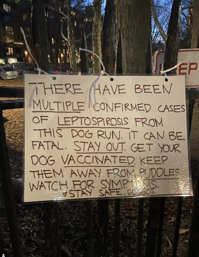 A hand-lettered cardboard sign zip-tied to the dog run fence warning of confirmed leptospirosis cases and advising owners to keep dogs away from puddles