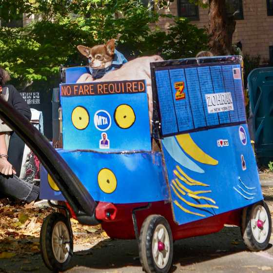 A chihuahua riding in a hand-built cardboard MTA bus float reading No Fare Required